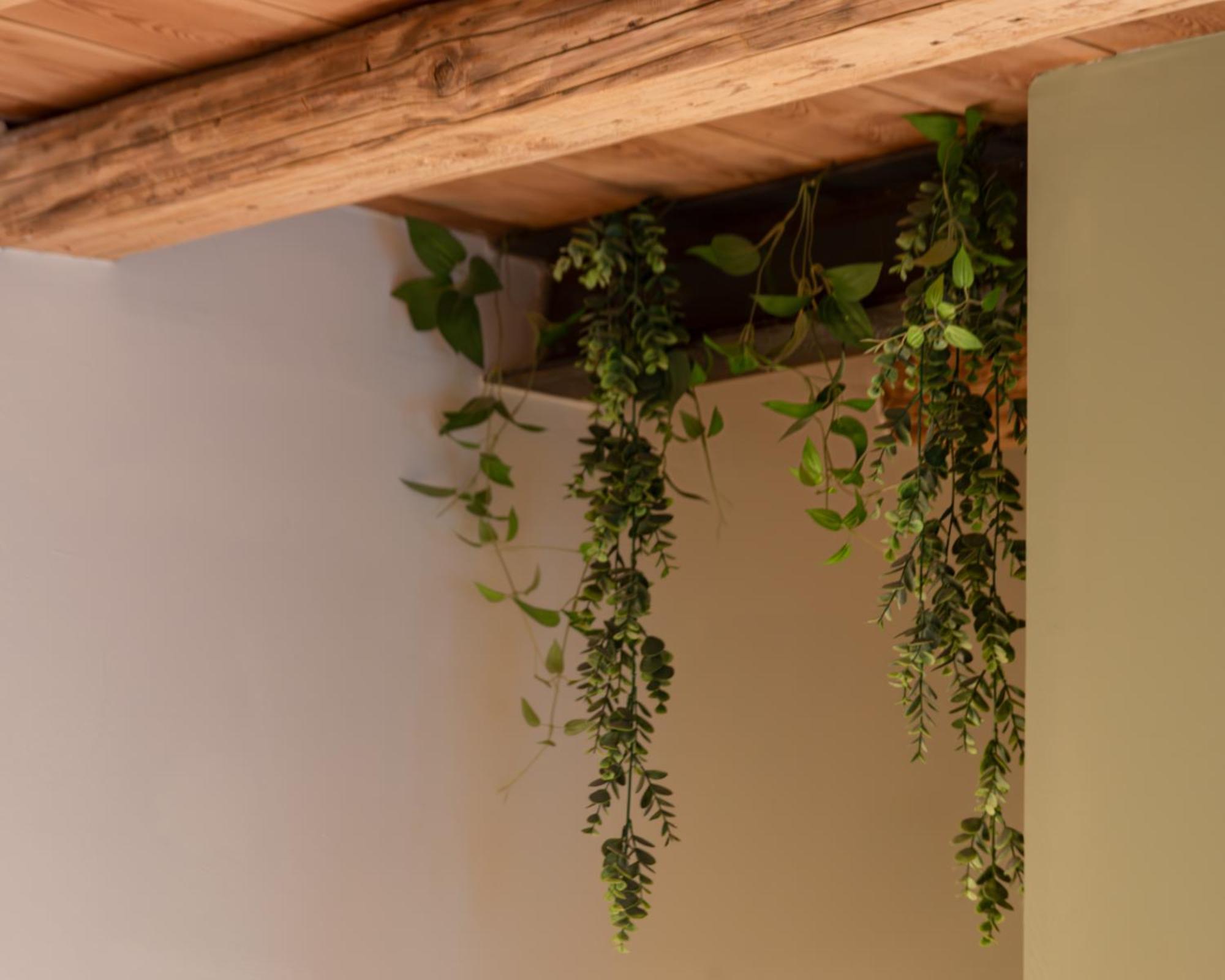 BACARìA BED&BREAKFAST Bassano del Grappa Esterno foto